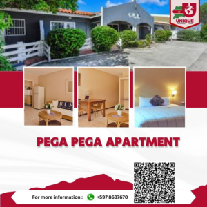 PEGA PEGA APARTMENT