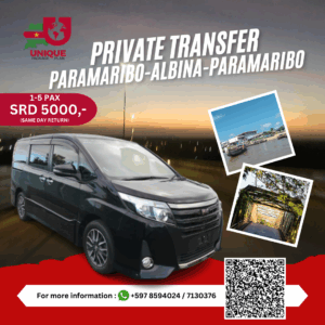 PRIVATE TRANSFER PBM-ALBINA